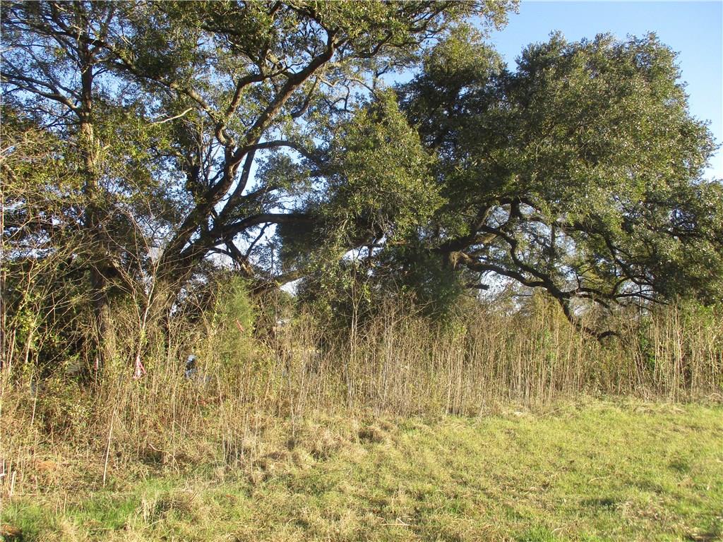 Tbd Tbd Robert Lacaze Road Natchez, LA 71456 - Photo 2 of 6 Gallery Image 2
