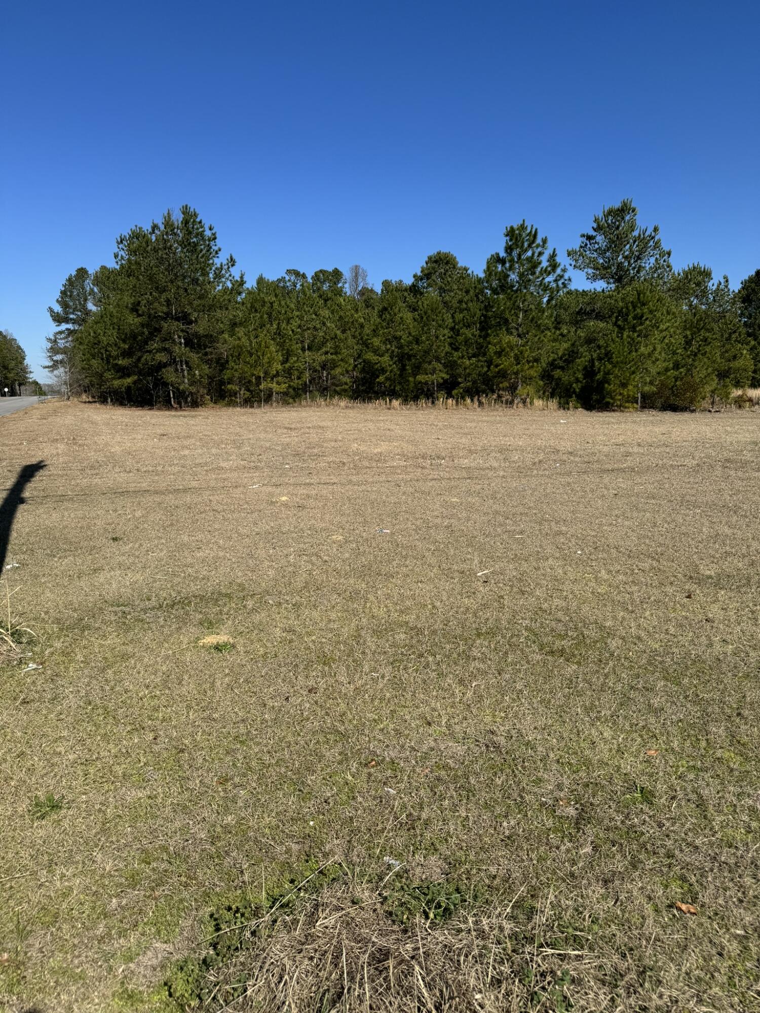 0 Dunbarton Boulevard Barnwell, SC 29812 - Photo 2 of 6 DunbartonPic2