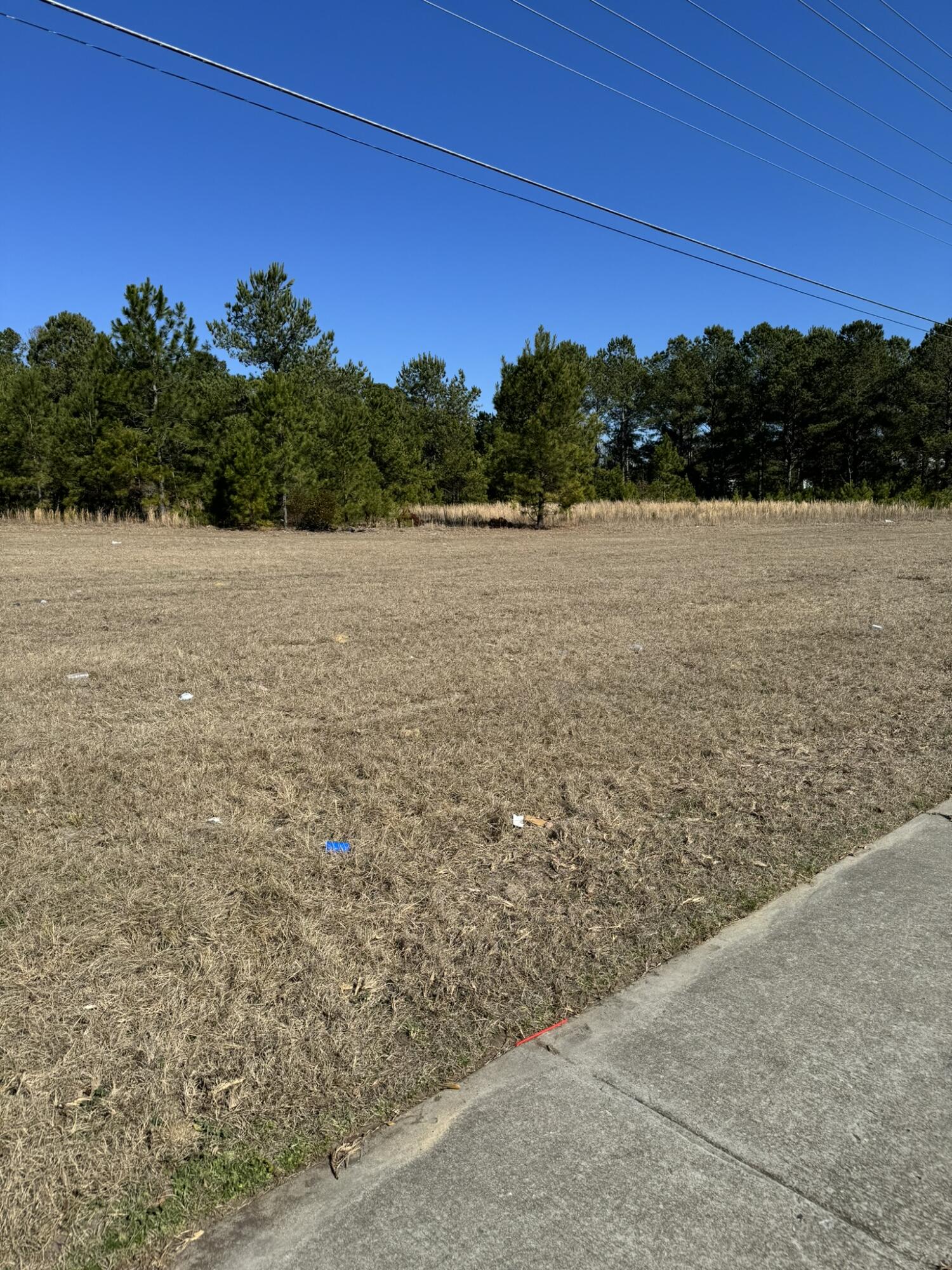 0 Dunbarton Boulevard Barnwell, SC 29812 - Photo 4 of 6 DunbartonPic4