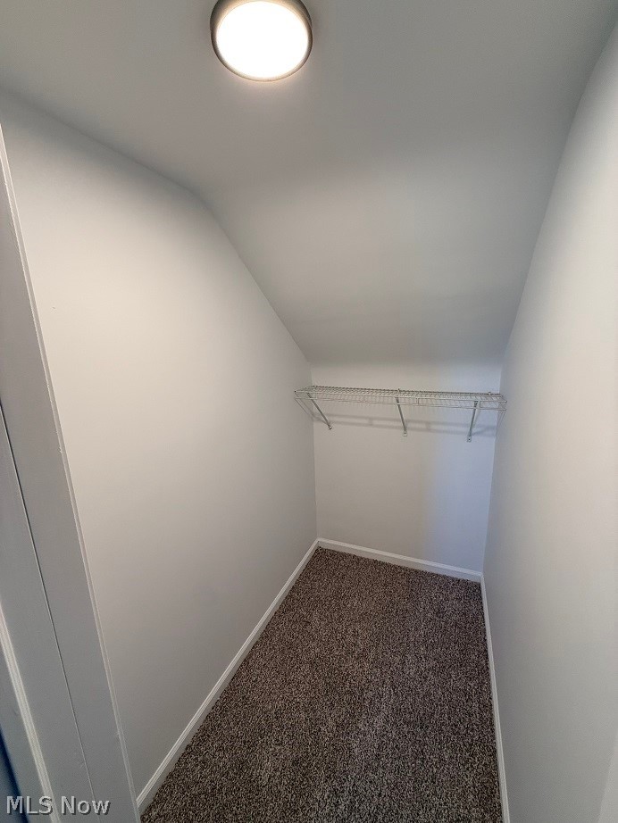 144 Aberdeen Road Steubenville, OH 43953 - Photo 20 of 34 Walk in closet with vaulted ceiling and dark carpet