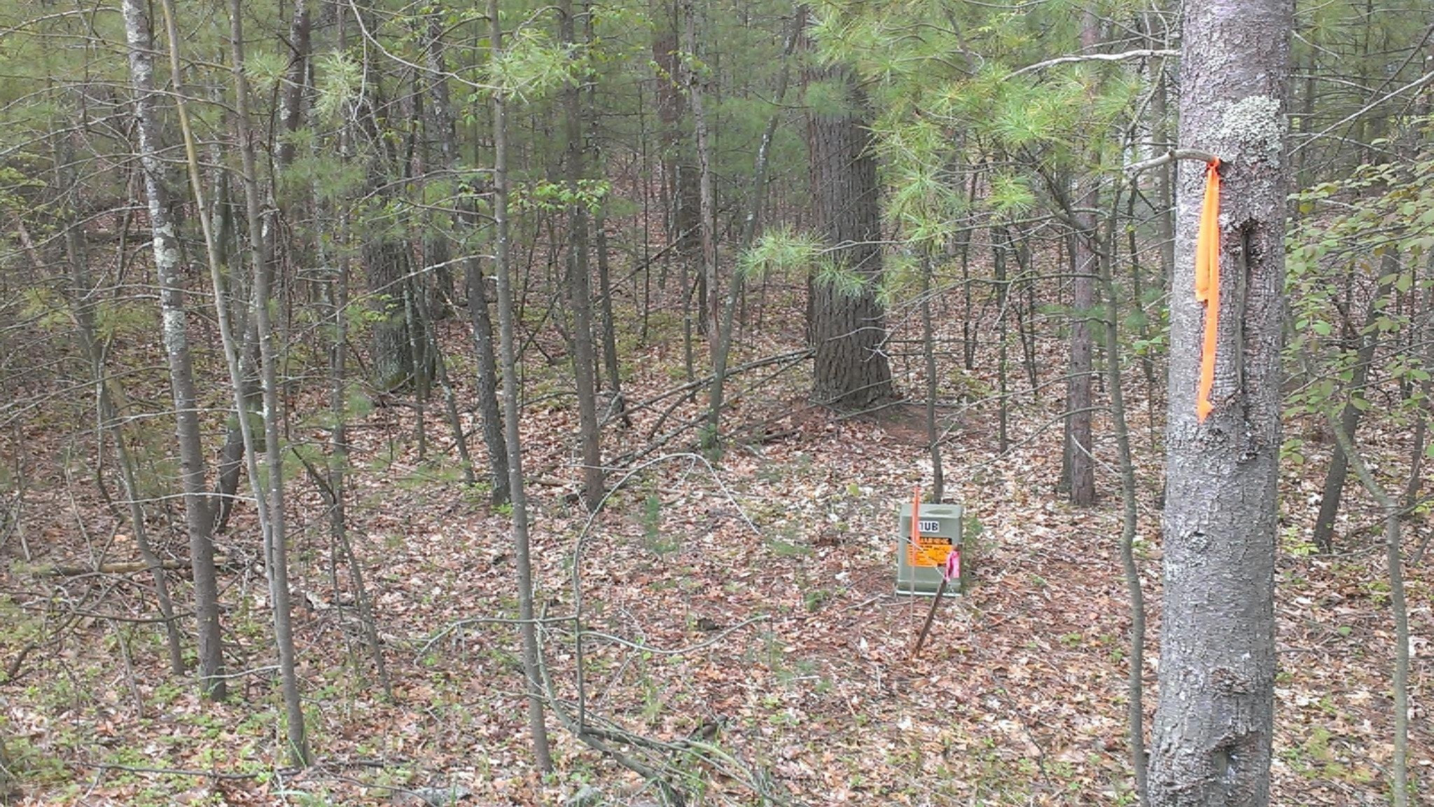 West Longbridge Road Pentwater, MI 49449 - Photo 1 of 9 2013-05-17 15.31.48