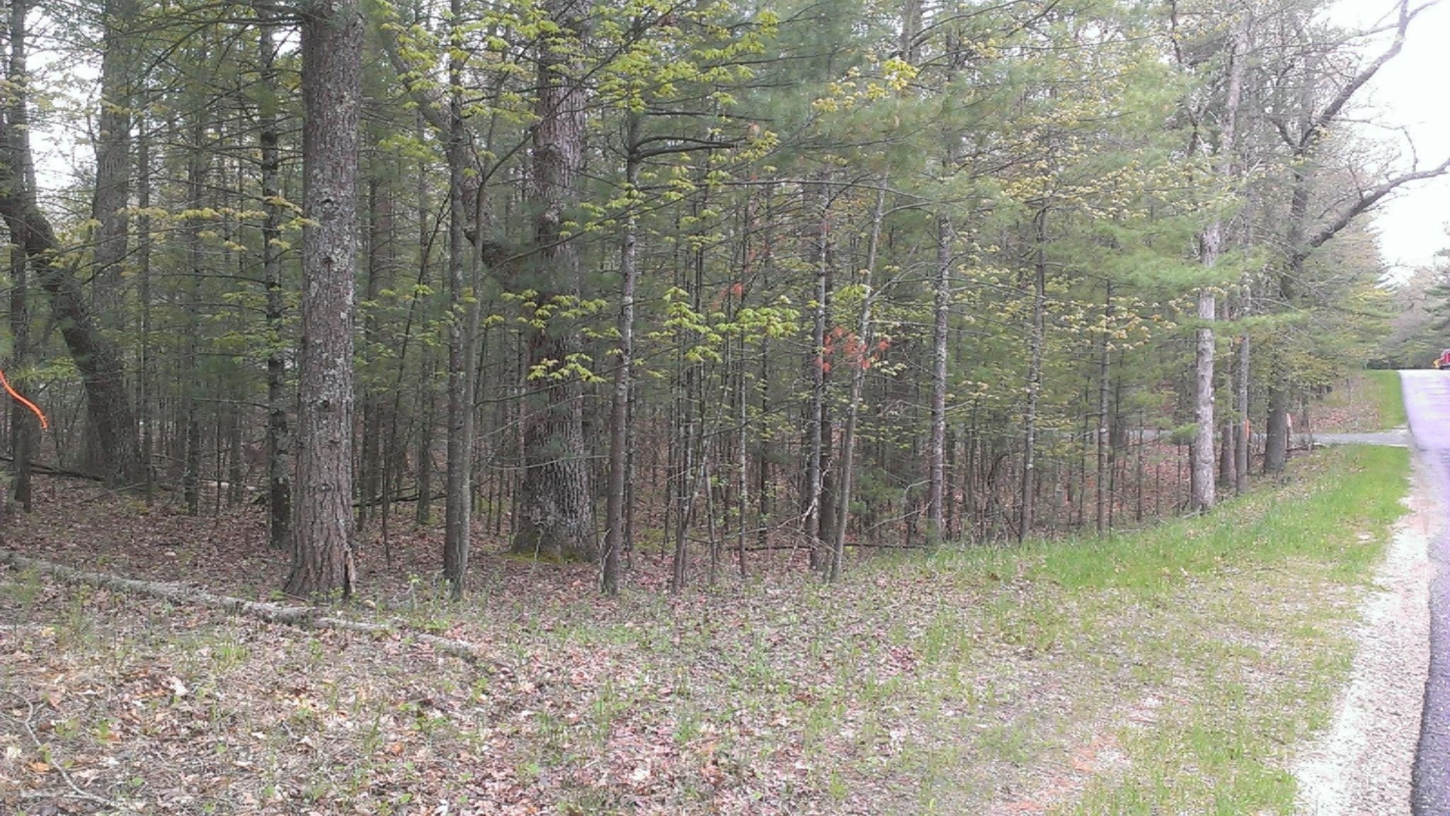 West Longbridge Road Pentwater, MI 49449 - Photo 2 of 9 2013-05-17 15.31.00