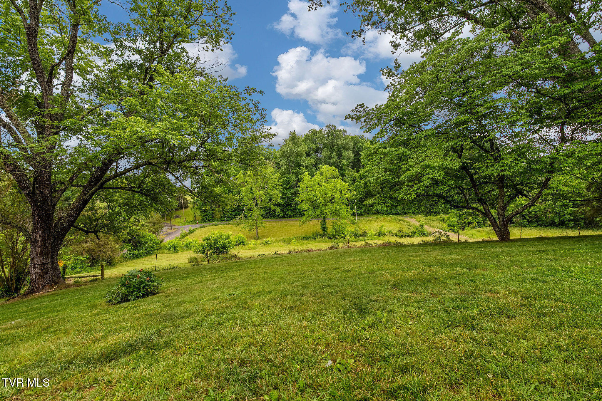 630 Briar Patch Lane Greeneville, TN 37745 - Photo 49 of 50 DSC03887