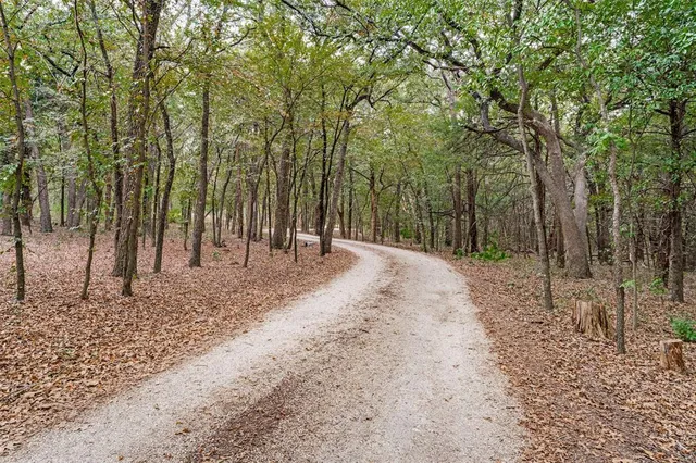 a view of backyard with trees