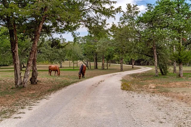 a picture of a bathroom with a sink