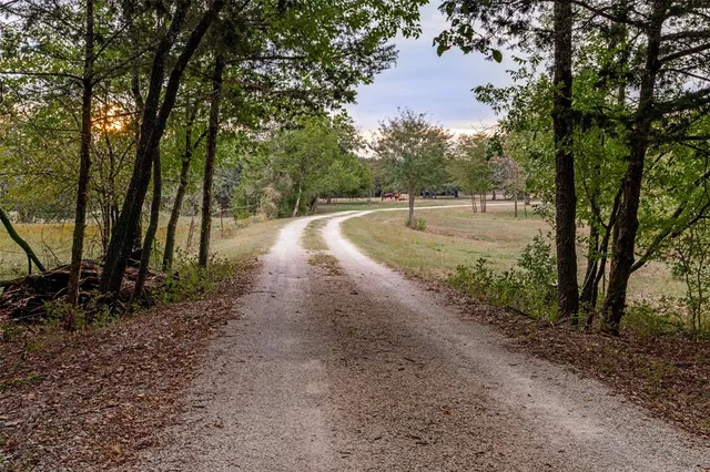 a view of a yard with trees