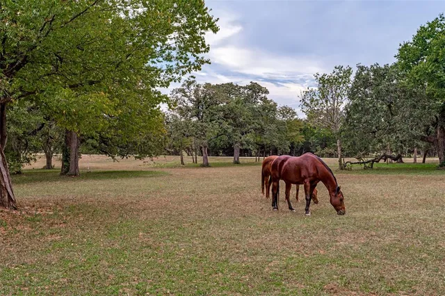 a view of backyard of house with outdoor seating