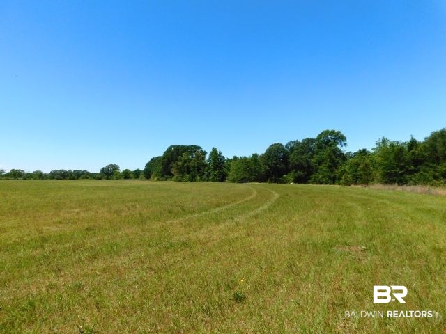 5884 Saroadine Road Brewton, AL 36426 - Photo 36 of 45