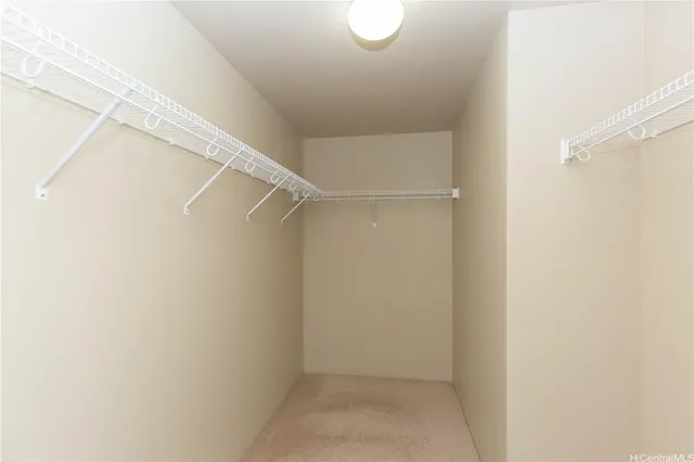 a view of an empty walk in closet
