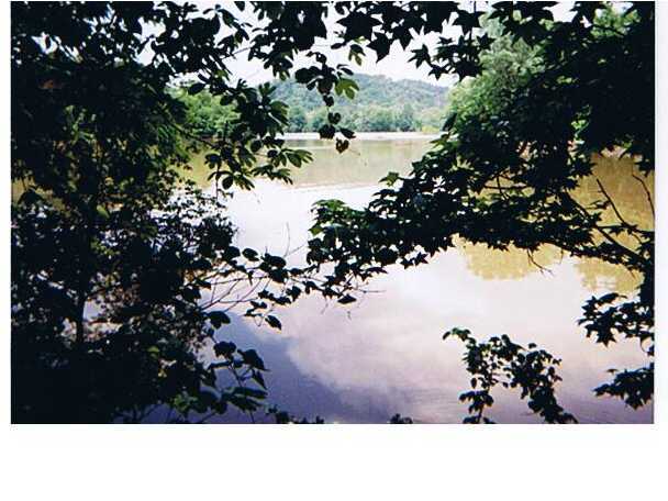 290 Sam Johnson Road Georgetown, TN 37336 - Photo 4 of 4 Additional Photo