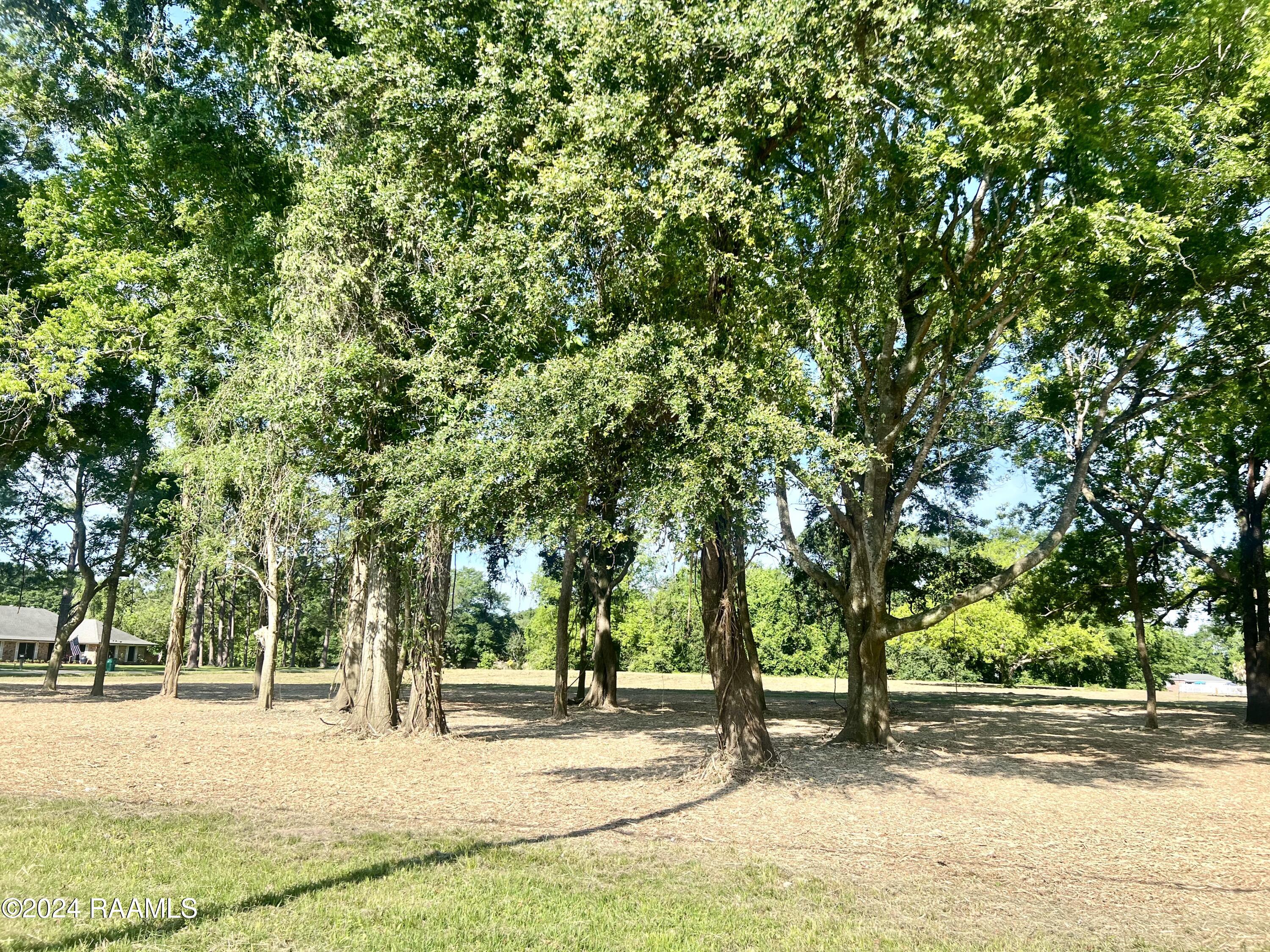 3401 Chalfonte Crescent Road New Iberia, LA 70563 - Photo 2 of 5 IMG_9288