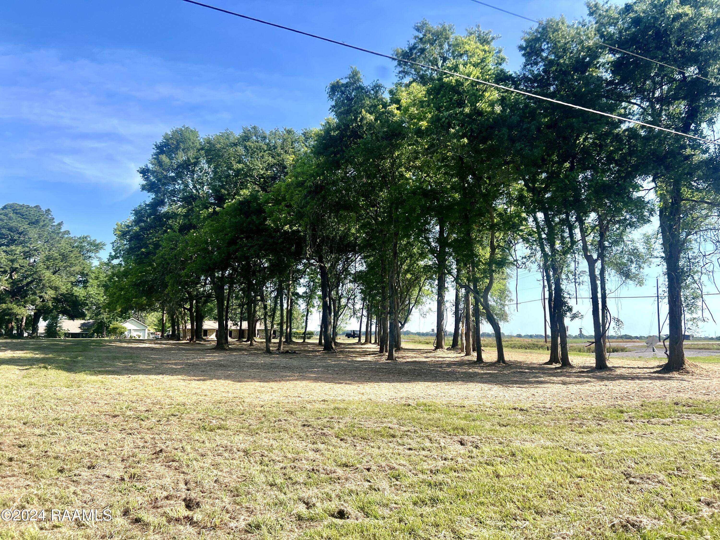 3401 Chalfonte Crescent Road New Iberia, LA 70563 - Photo 3 of 5 IMG_9291