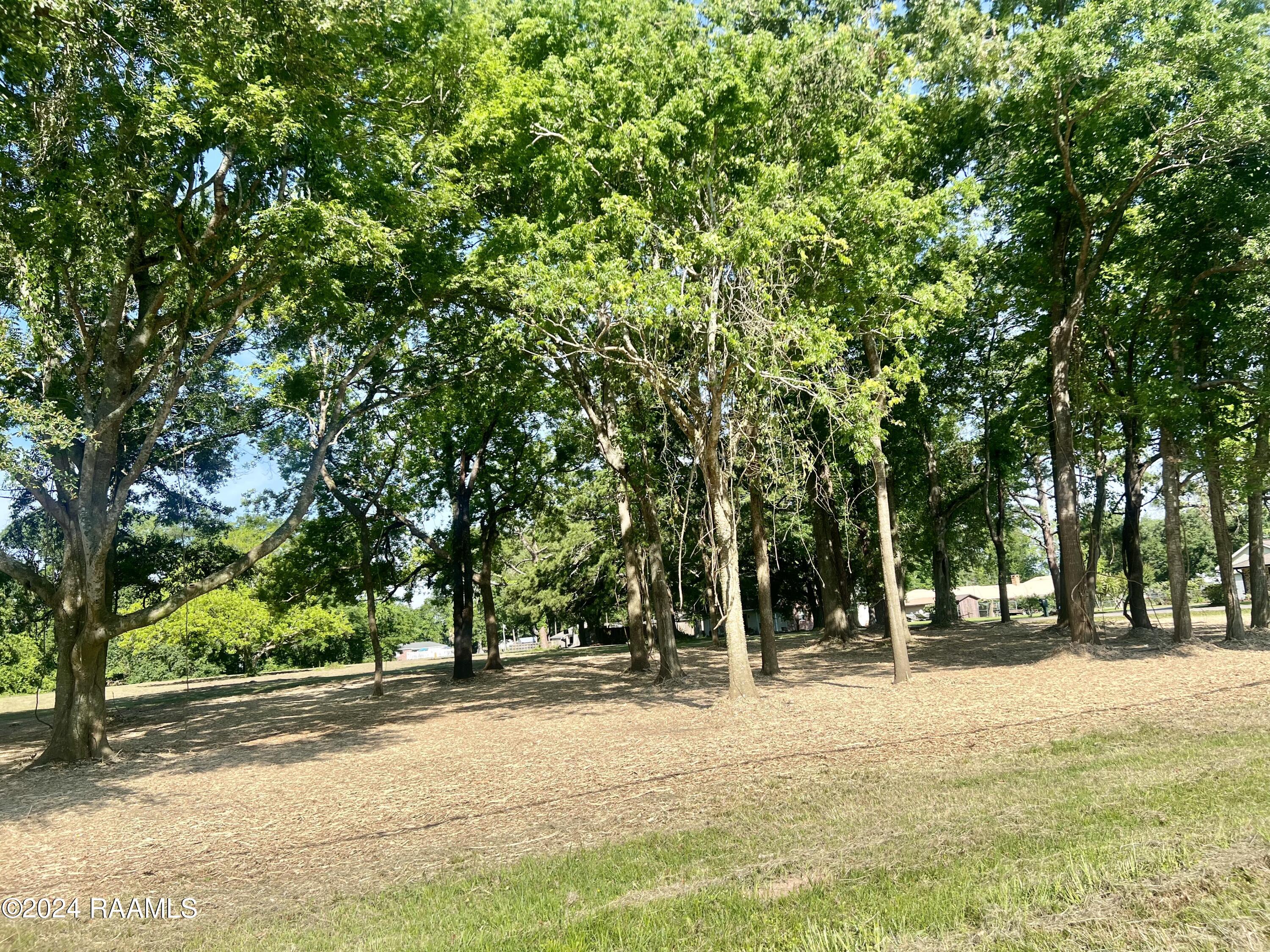 3401 Chalfonte Crescent Road New Iberia, LA 70563 - Photo 4 of 5 IMG_9289