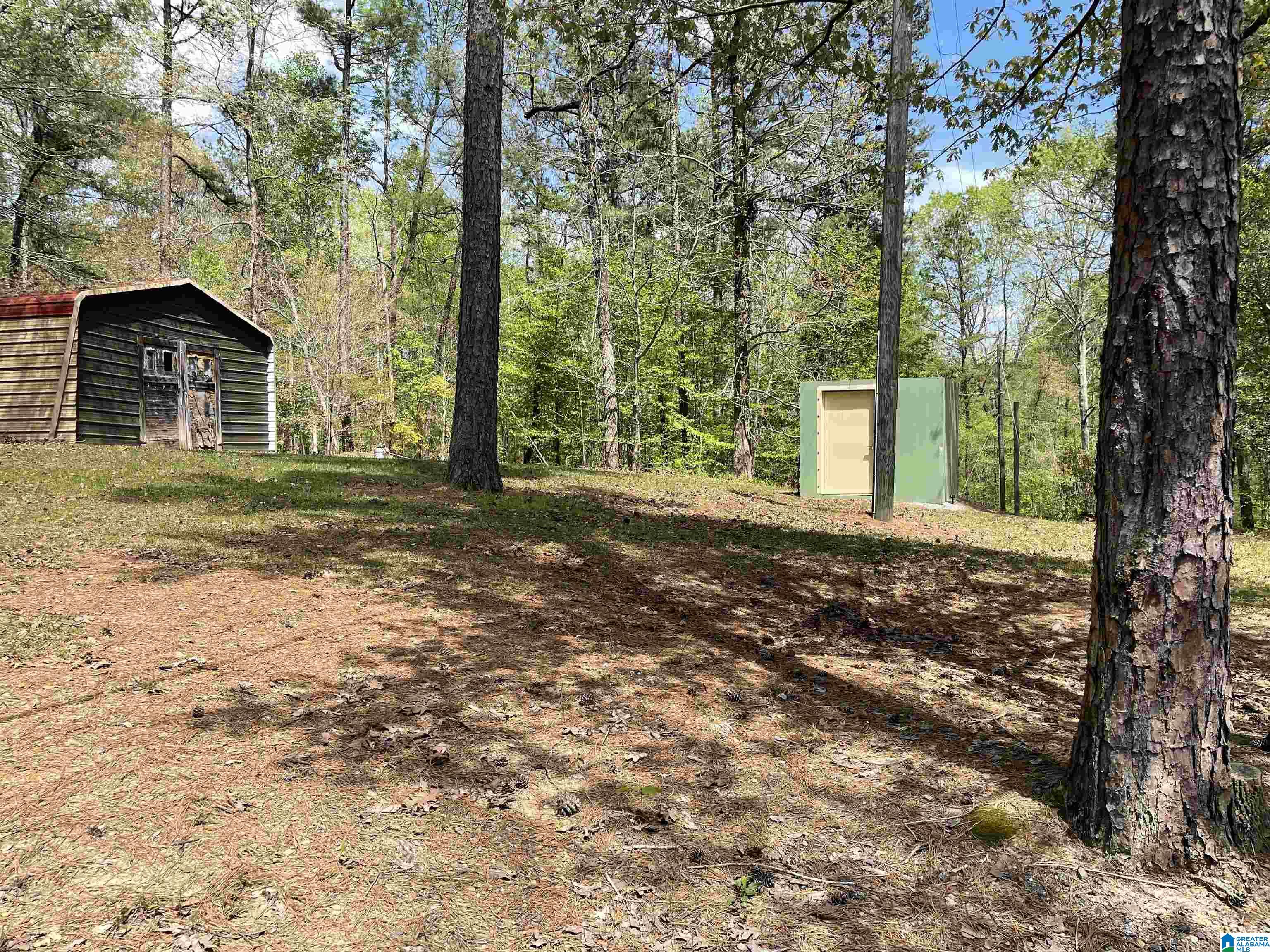 410 Waldrop Road Ashville, AL 35953 - Photo 15 of 15
