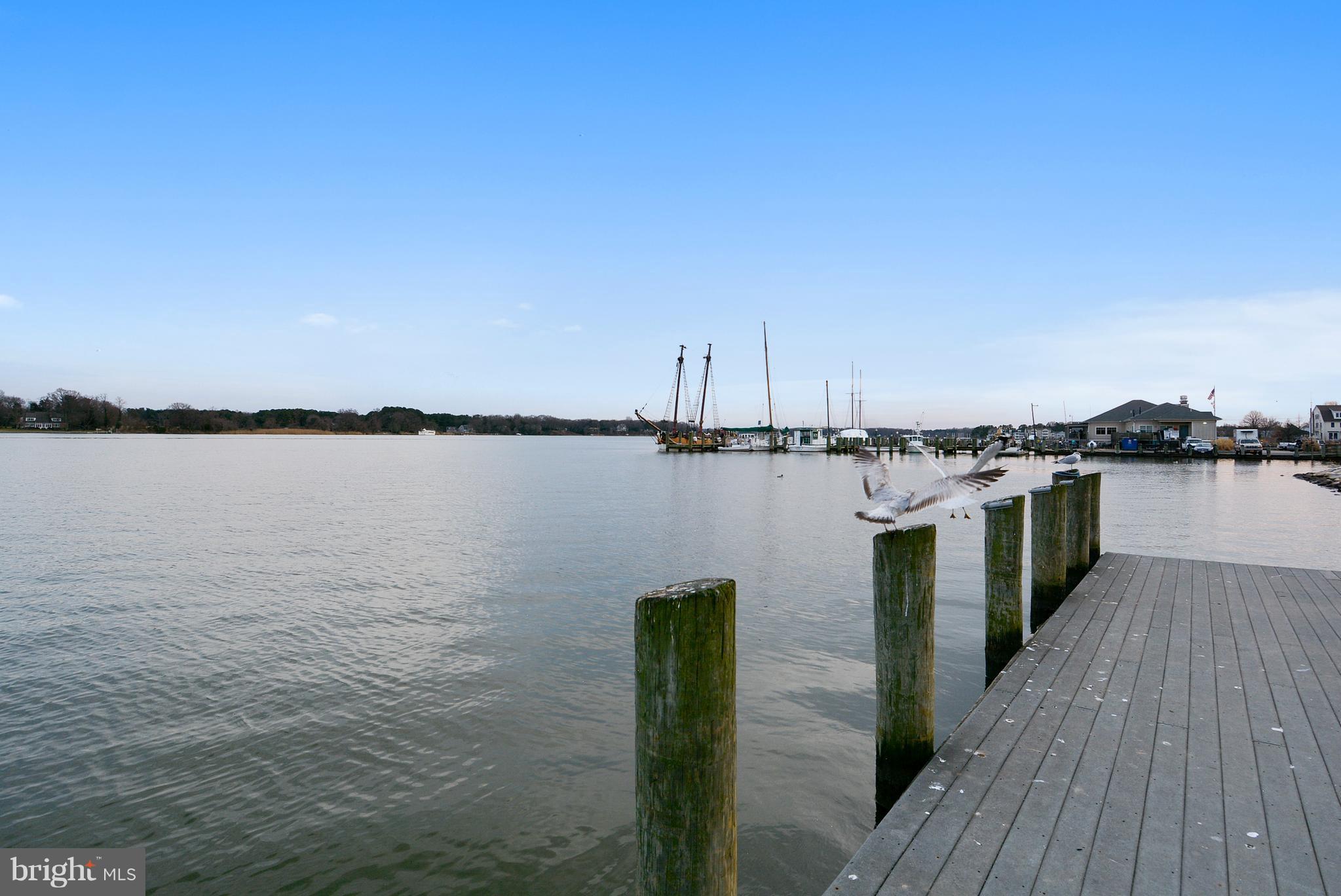 100 Birch Run Road Chestertown, MD 21620 - Photo 28 of 30 a view of a lake with wooden stairs and bridge and palm trees