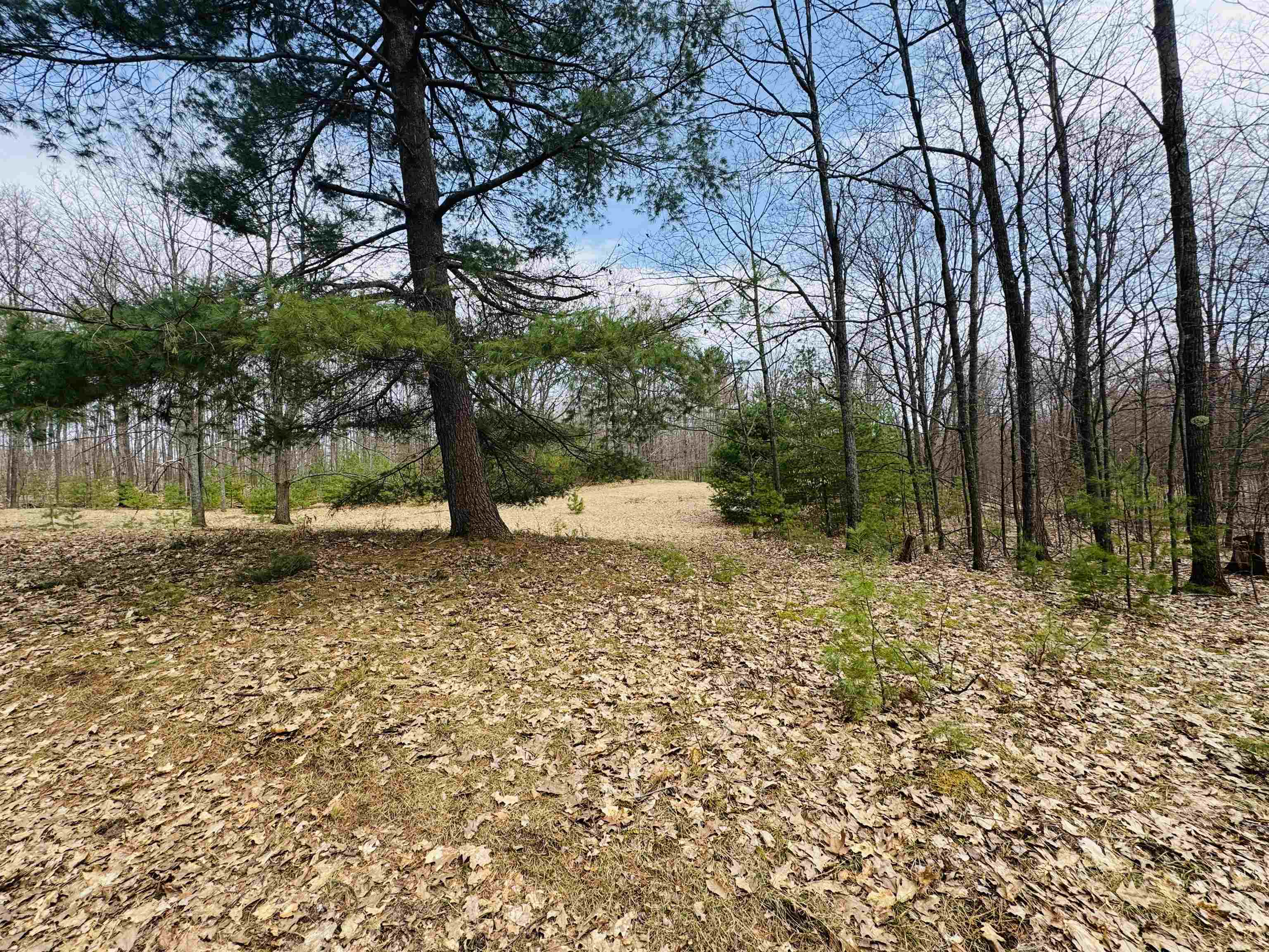 11651 22 3/4 Road Manton, MI 49663 - Photo 7 of 21 Gallery Image 7