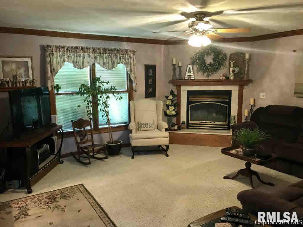 13 Trussell Road Jacksonville, IL 62650 - Photo 13 of 36