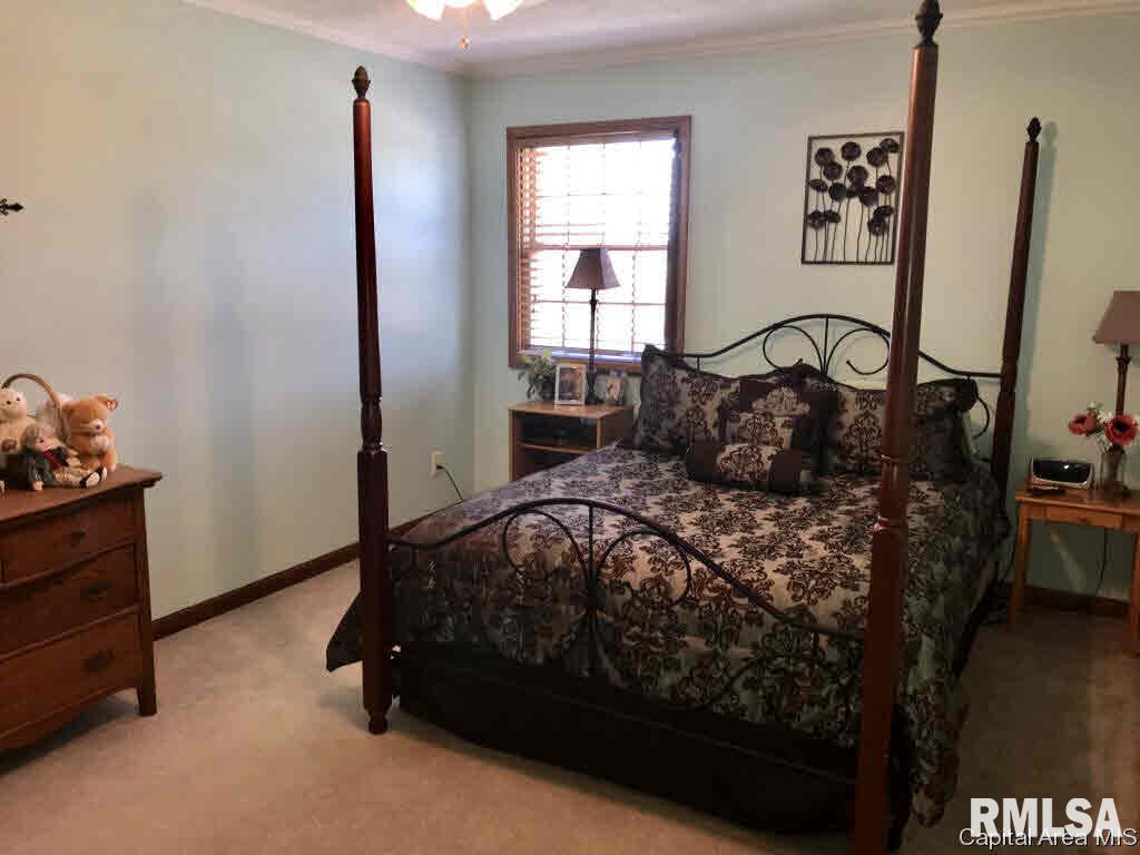 13 Trussell Road Jacksonville, IL 62650 - Photo 28 of 36