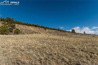 3503 Redhill Road Fairplay, CO 80440 - Photo 6 of 8 a view of a dry yard