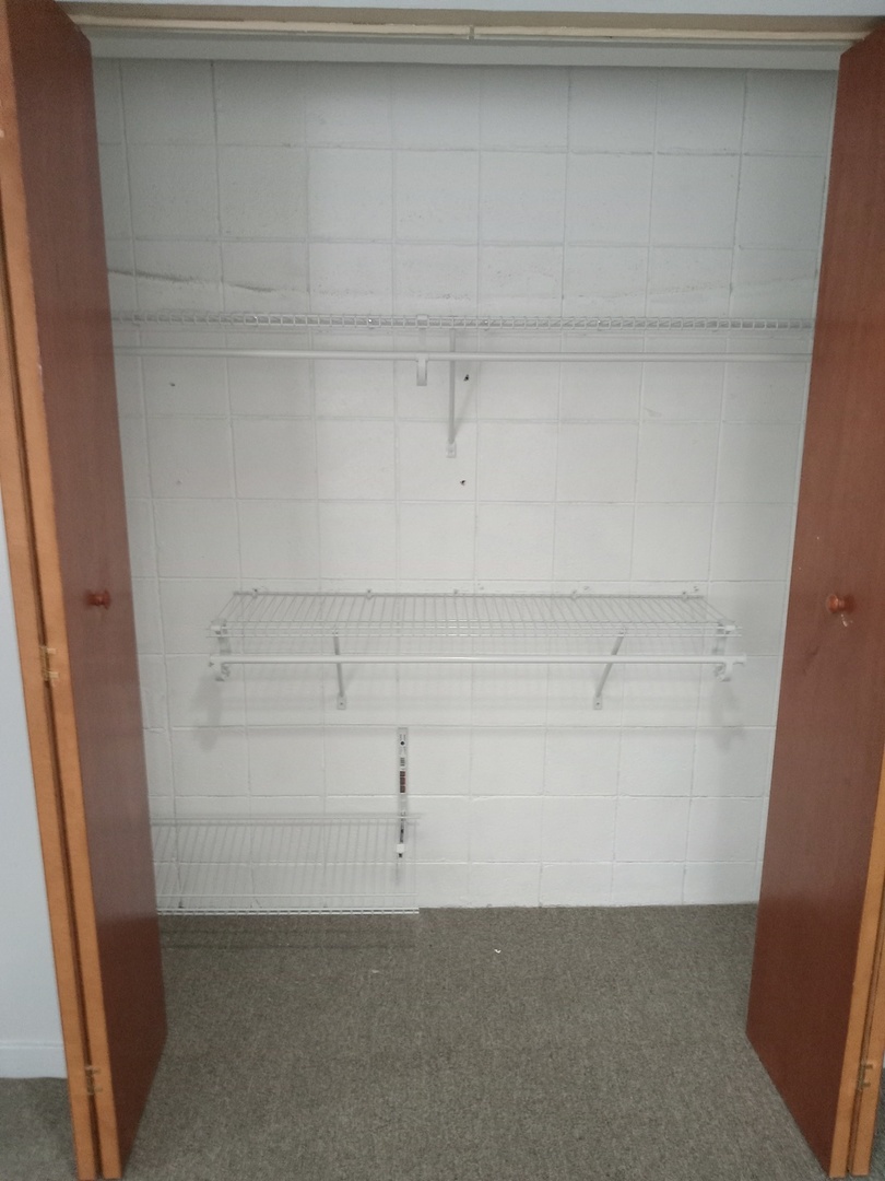 827 East 48th Street, Unit C Chicago, IL 60615 - Photo 6 of 10