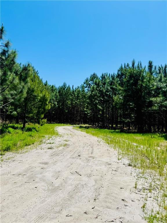 30.46-acres Minton Road Townsend, GA 31331 - Photo 4 of 22