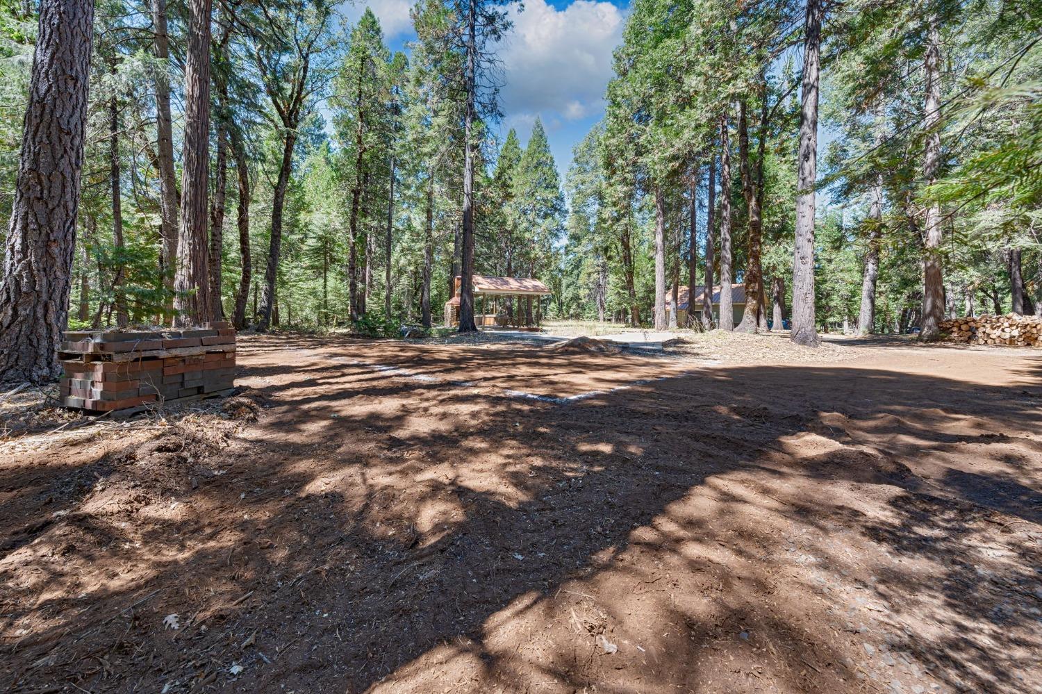 740 Hideaway Loop Alta, CA 95701 - Photo 44 of 74 a backyard of a house with lots of green space and trees