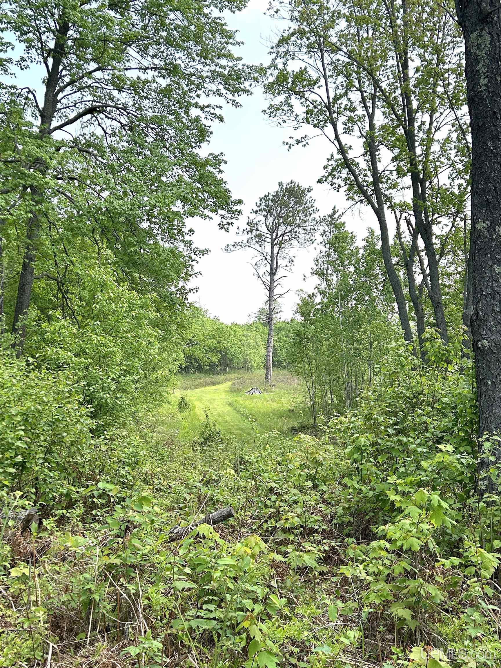 6072 Big Lick Lake Road Ishpeming, MI 49849 - Photo 54 of 90