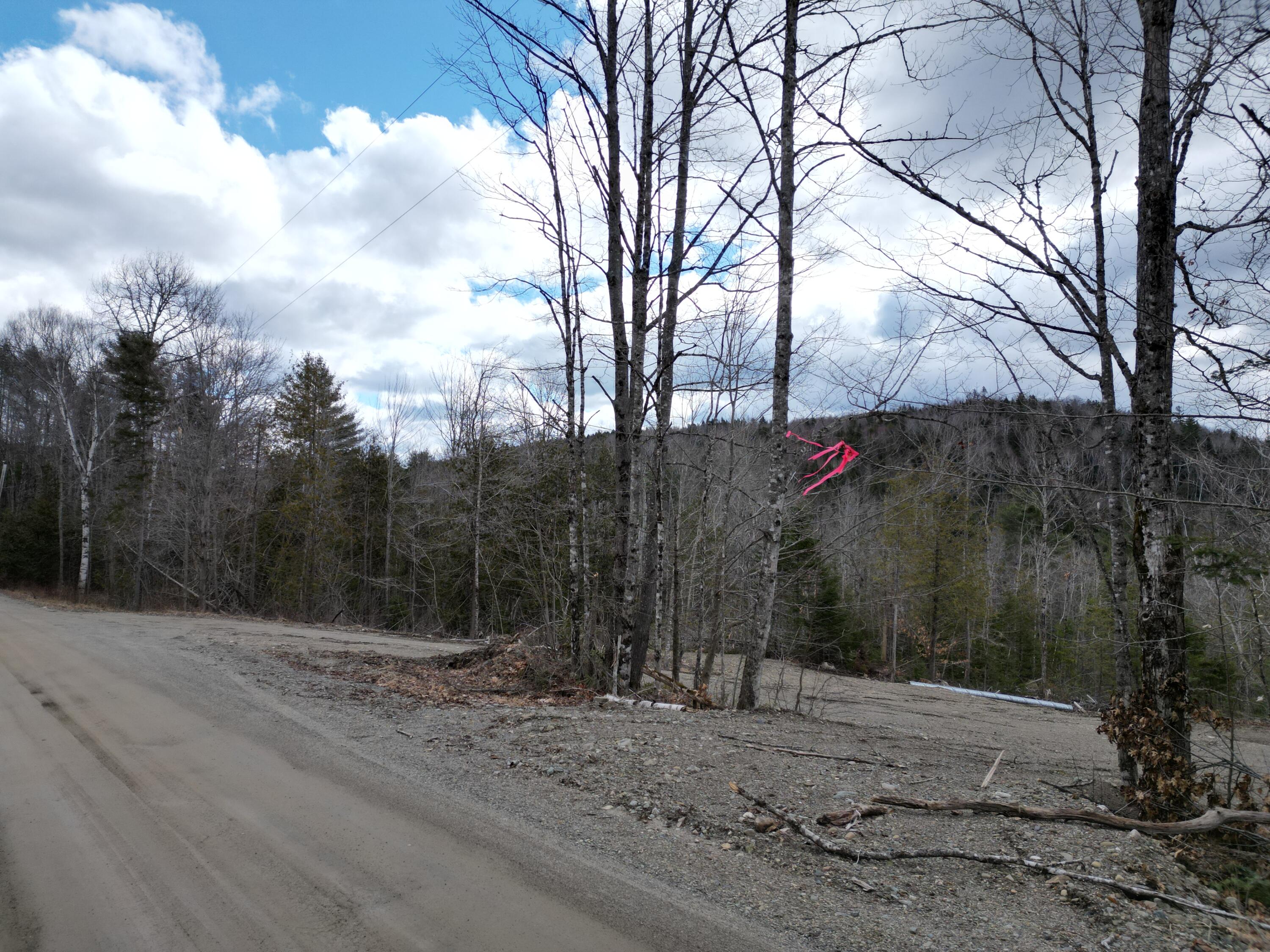 Lot 2 Arab Road Lee, ME 04455 - Photo 6 of 13 DJI_0906