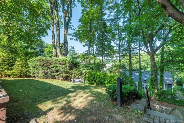 a view of a trees with a yard