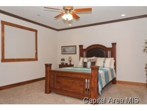 510 Walker Ridge Rochester, IL 62563 - Photo 10 of 15