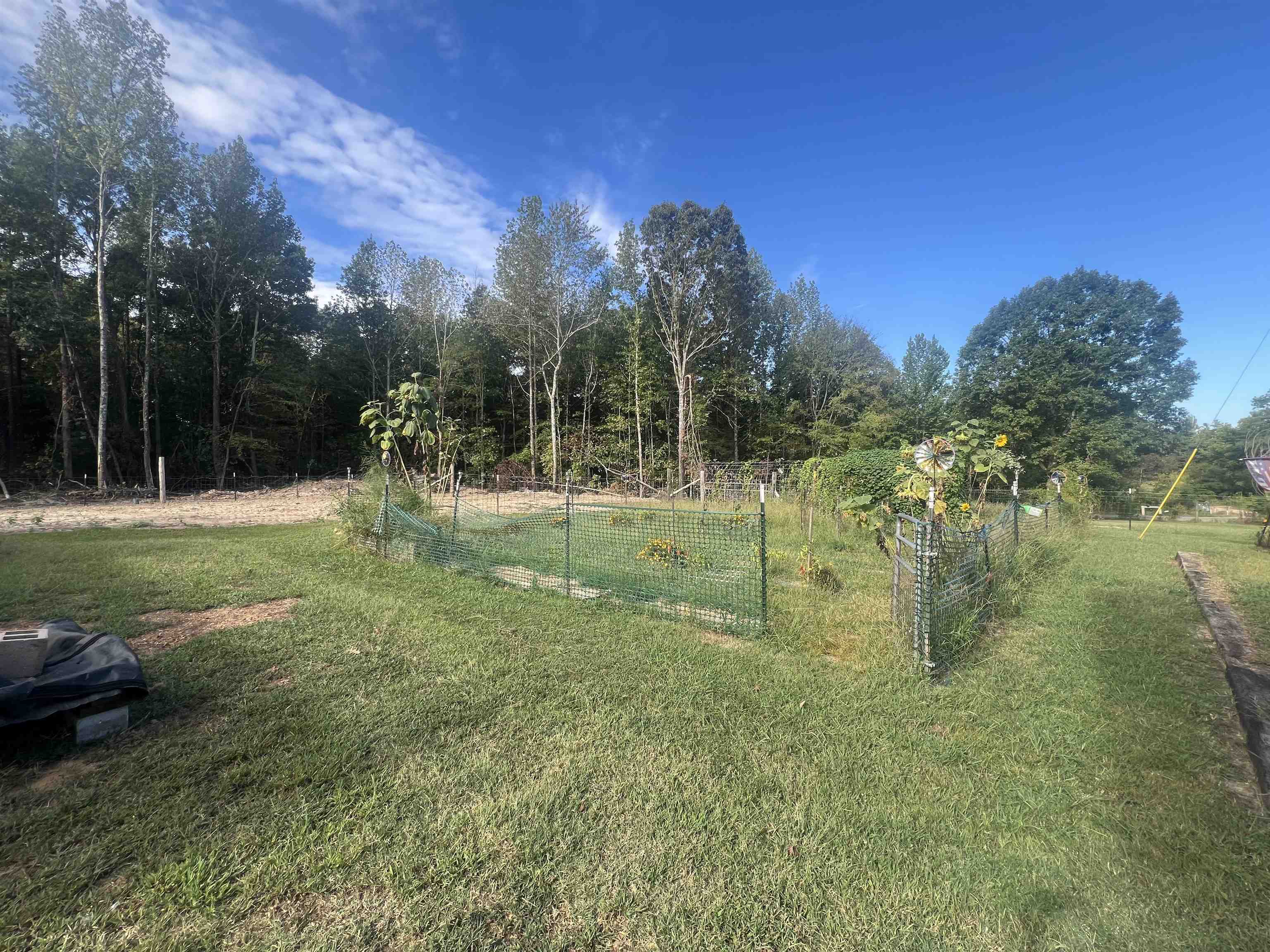 160 Finley Road Adamsville, TN 38310 - Photo 23 of 31 a view of a park