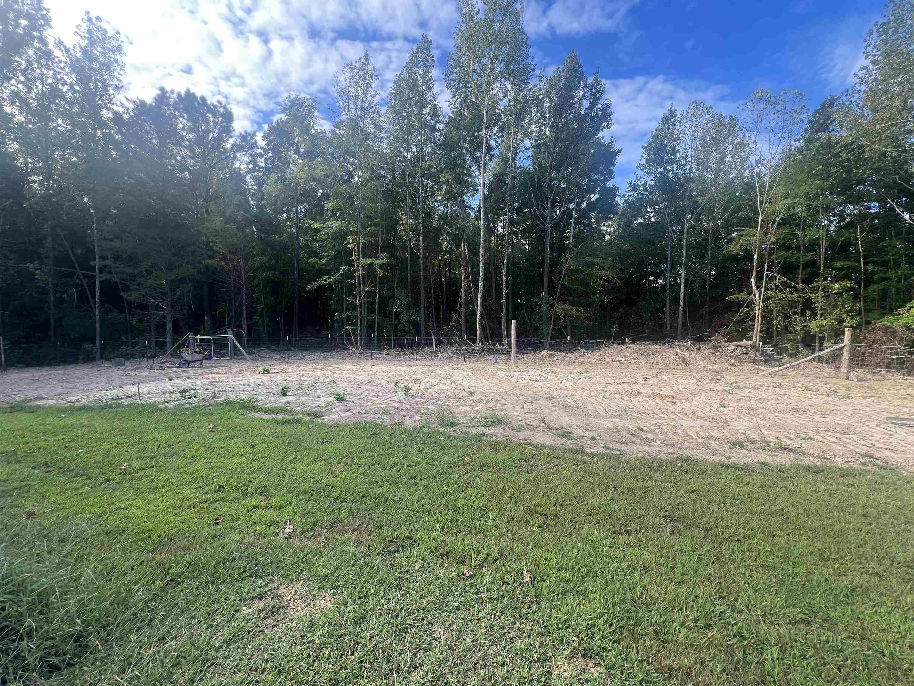 160 Finley Road Adamsville, TN 38310 - Photo 25 of 31 a backyard of a house with lots of green space