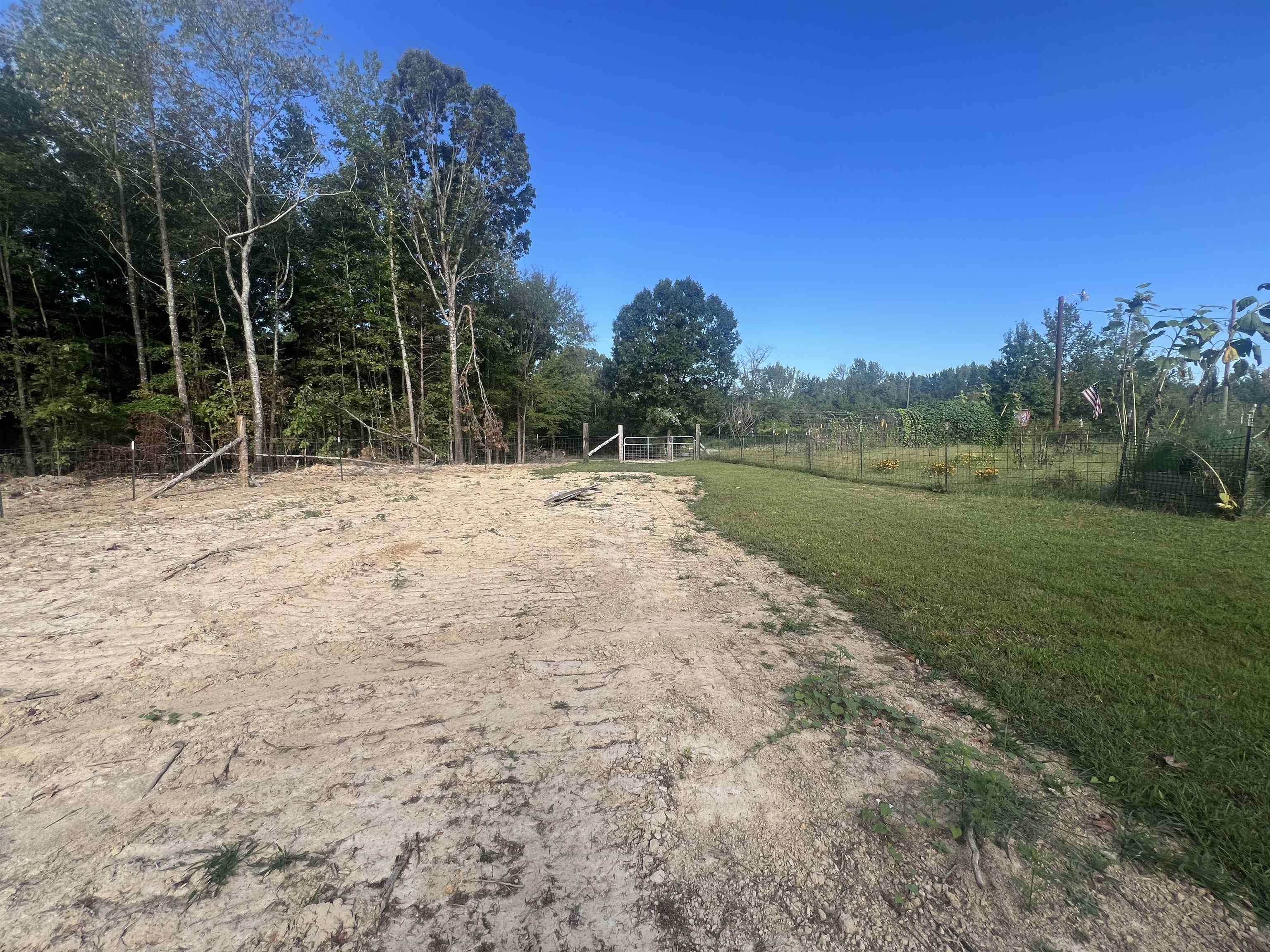 160 Finley Road Adamsville, TN 38310 - Photo 26 of 31 a view of dirt field with trees in the background