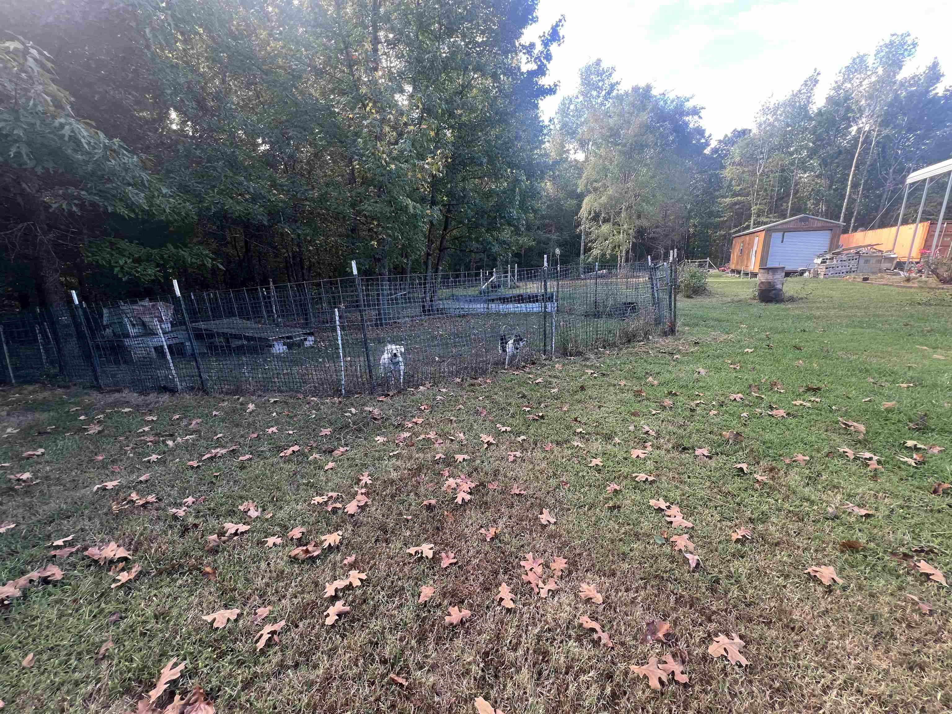 160 Finley Road Adamsville, TN 38310 - Photo 29 of 31 a backyard of a house with lots of green space