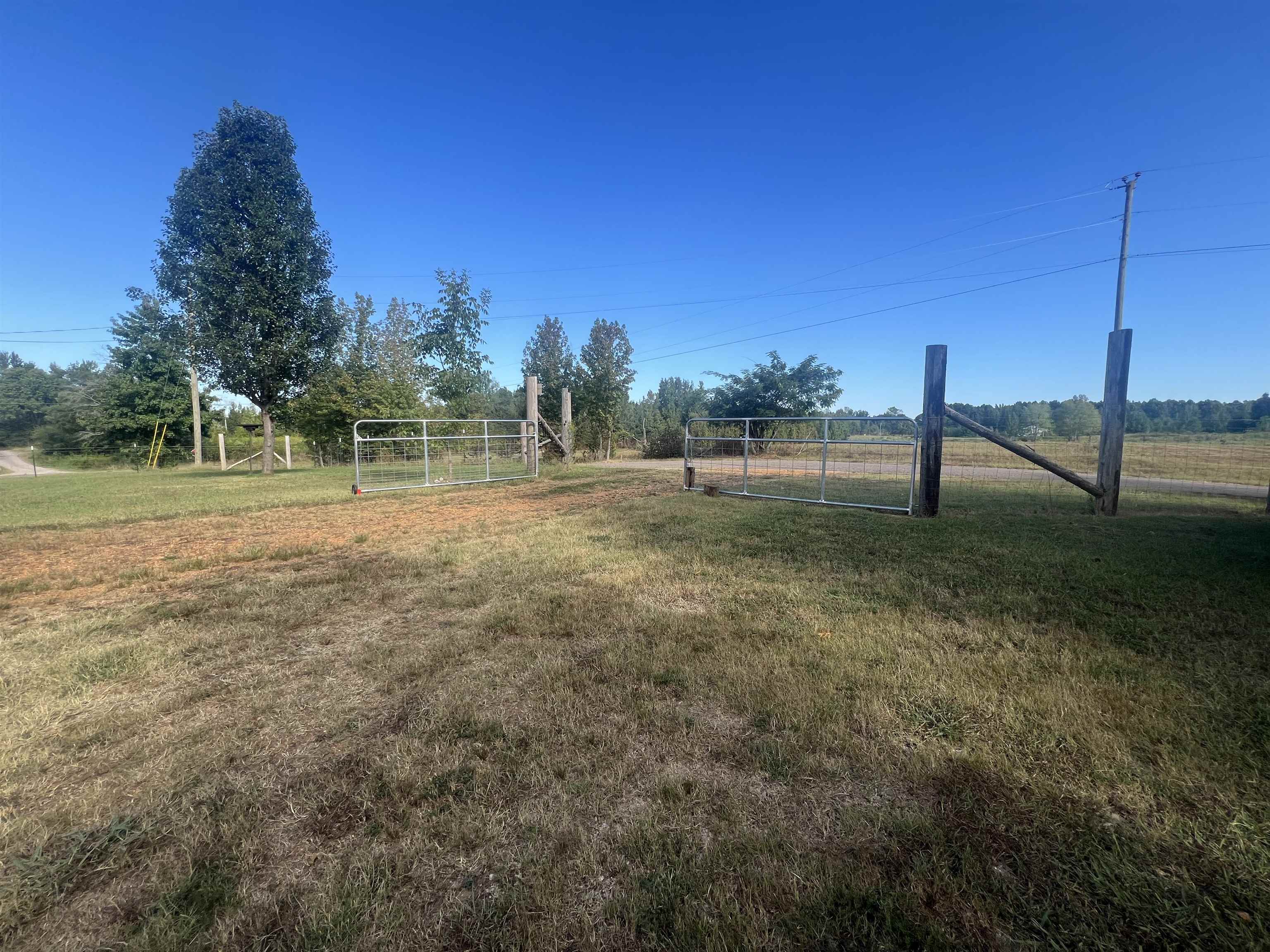 160 Finley Road Adamsville, TN 38310 - Photo 30 of 31 a view of outdoor space with green field and trees