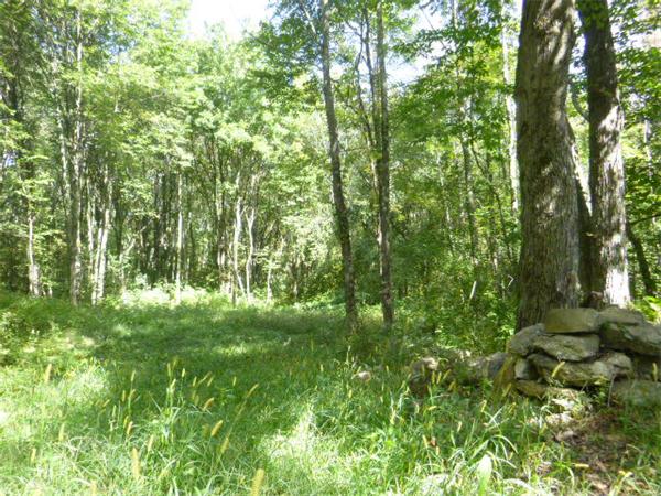 26 Donovan Road North Brookfield, MA 01535 - Photo 1 of 3 Gallery Image 1
