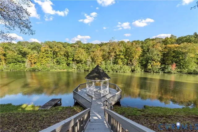 a view of a yard with plants and large trees