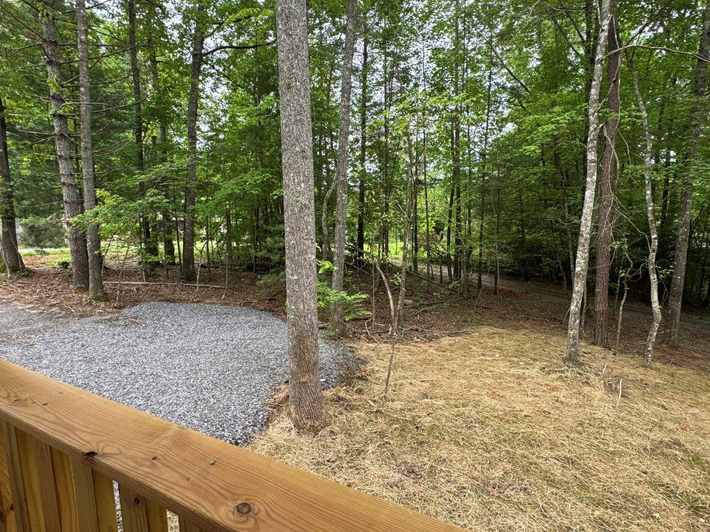 151 Martins Creek Ridge Road Murphy, NC 28906 - Photo 34 of 35