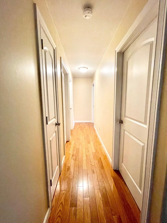 13 Ruskin Street Springfield, MA 01108 - Photo 19 of 20