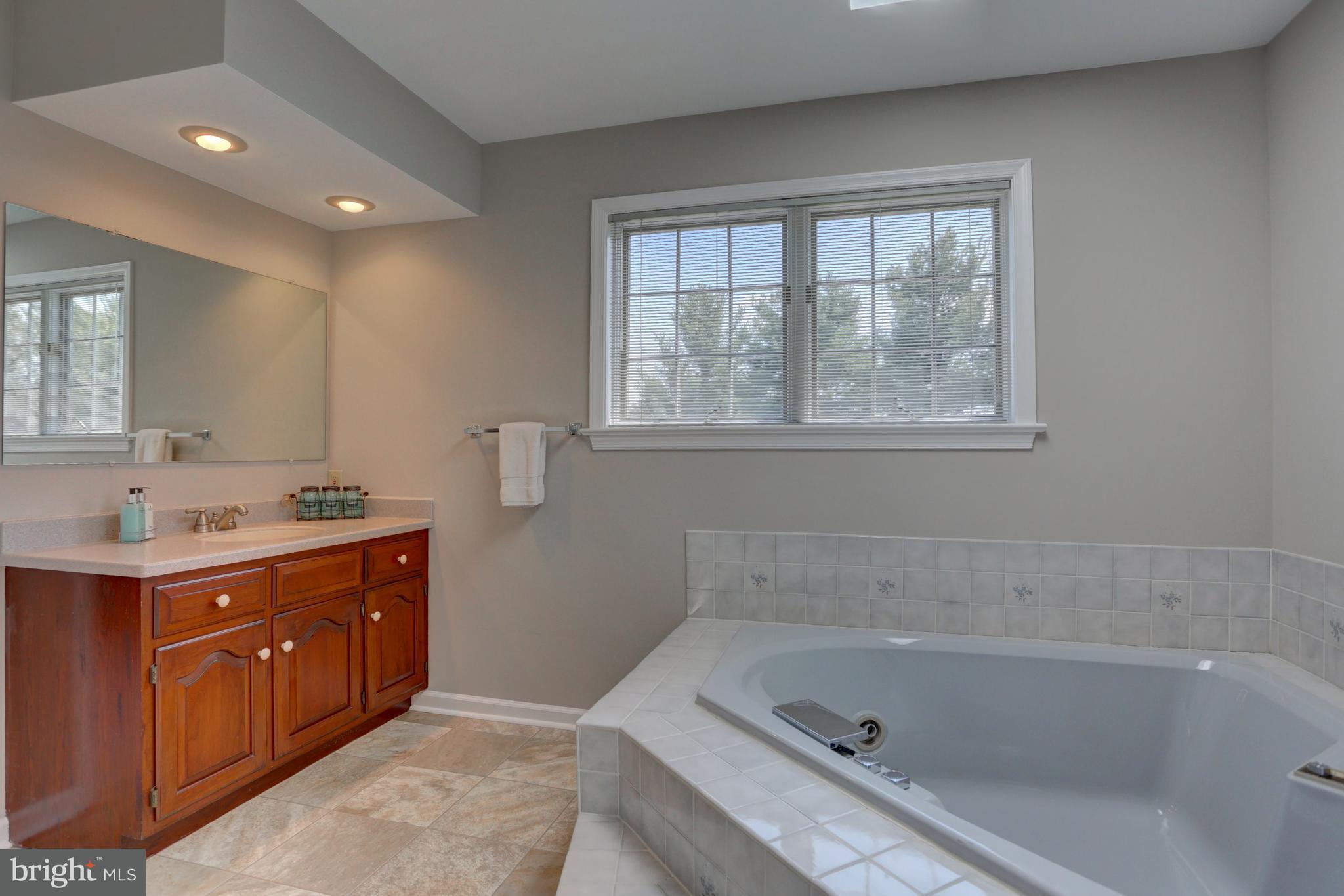 552 Greenhowe Drive Lititz, PA 17543 - Photo 32 of 47 Master bath.