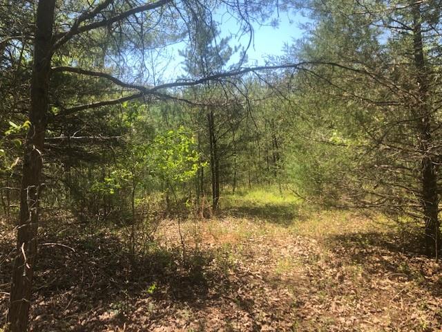 Tbd Dug Hill Road Lenoir, NC 28645 - Photo 1 of 9 Gallery Image 1