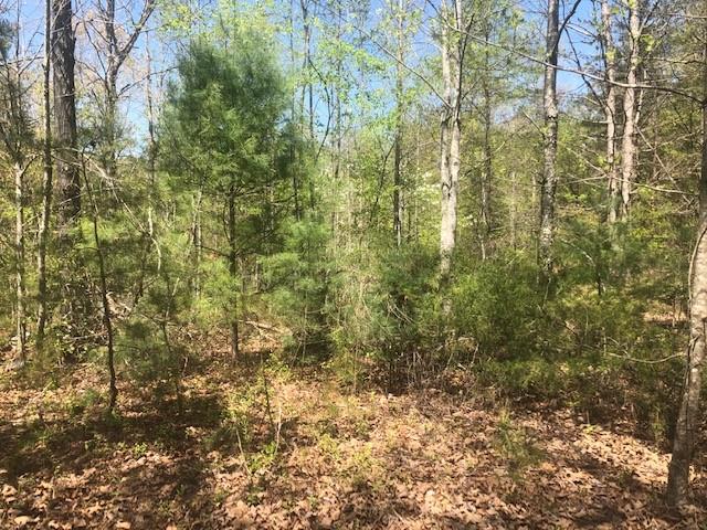 Tbd Dug Hill Road Lenoir, NC 28645 - Photo 4 of 9 Gallery Image 4