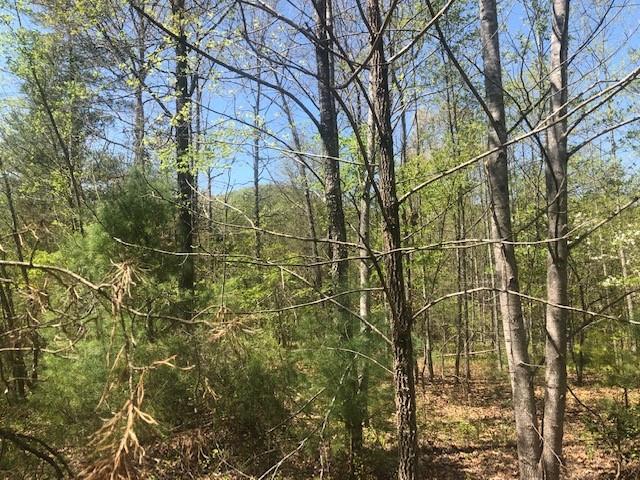 Tbd Dug Hill Road Lenoir, NC 28645 - Photo 5 of 9 Gallery Image 5