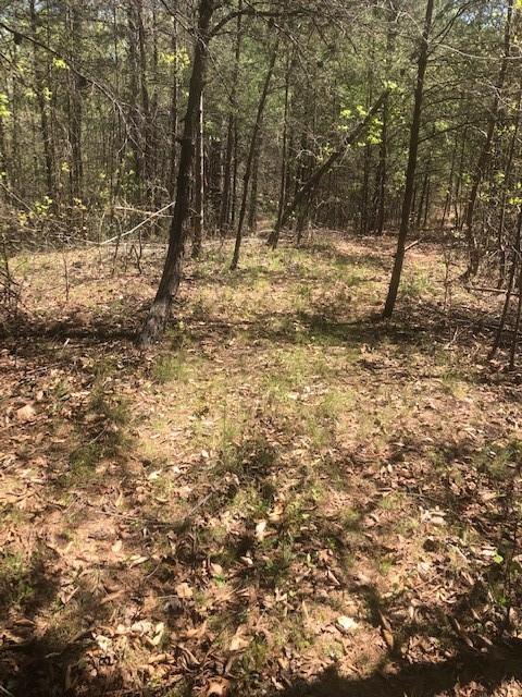 Tbd Dug Hill Road Lenoir, NC 28645 - Photo 6 of 9 Gallery Image 6
