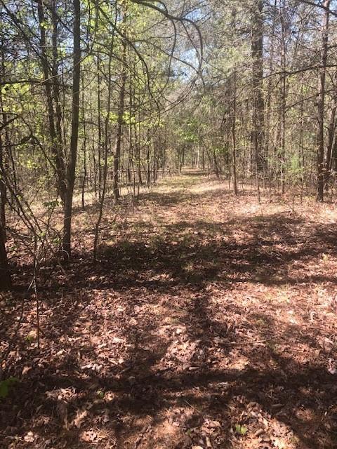 Tbd Dug Hill Road Lenoir, NC 28645 - Photo 7 of 9 Gallery Image 7
