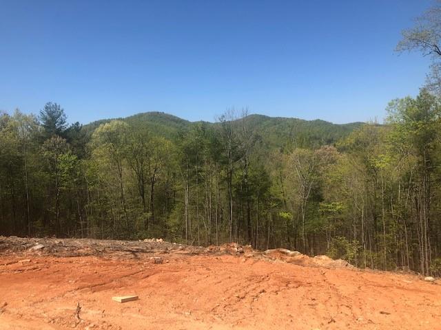 Tbd Dug Hill Road Lenoir, NC 28645 - Photo 8 of 9 Gallery Image 8