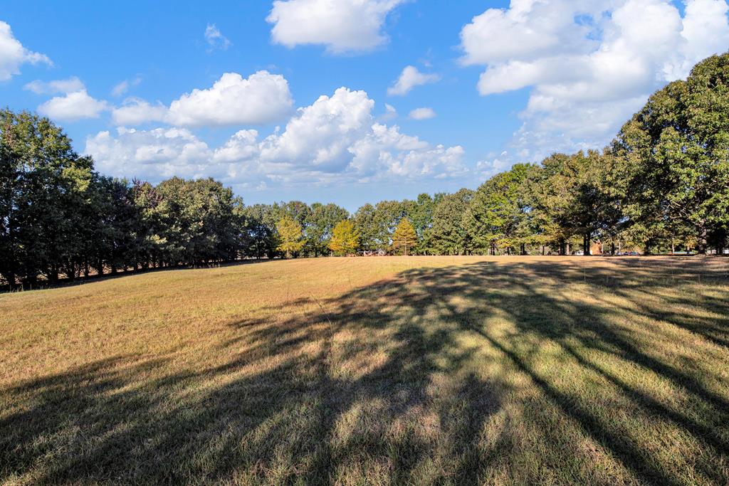 283 Holland Road Newton, AL 36352 - Photo 64 of 71