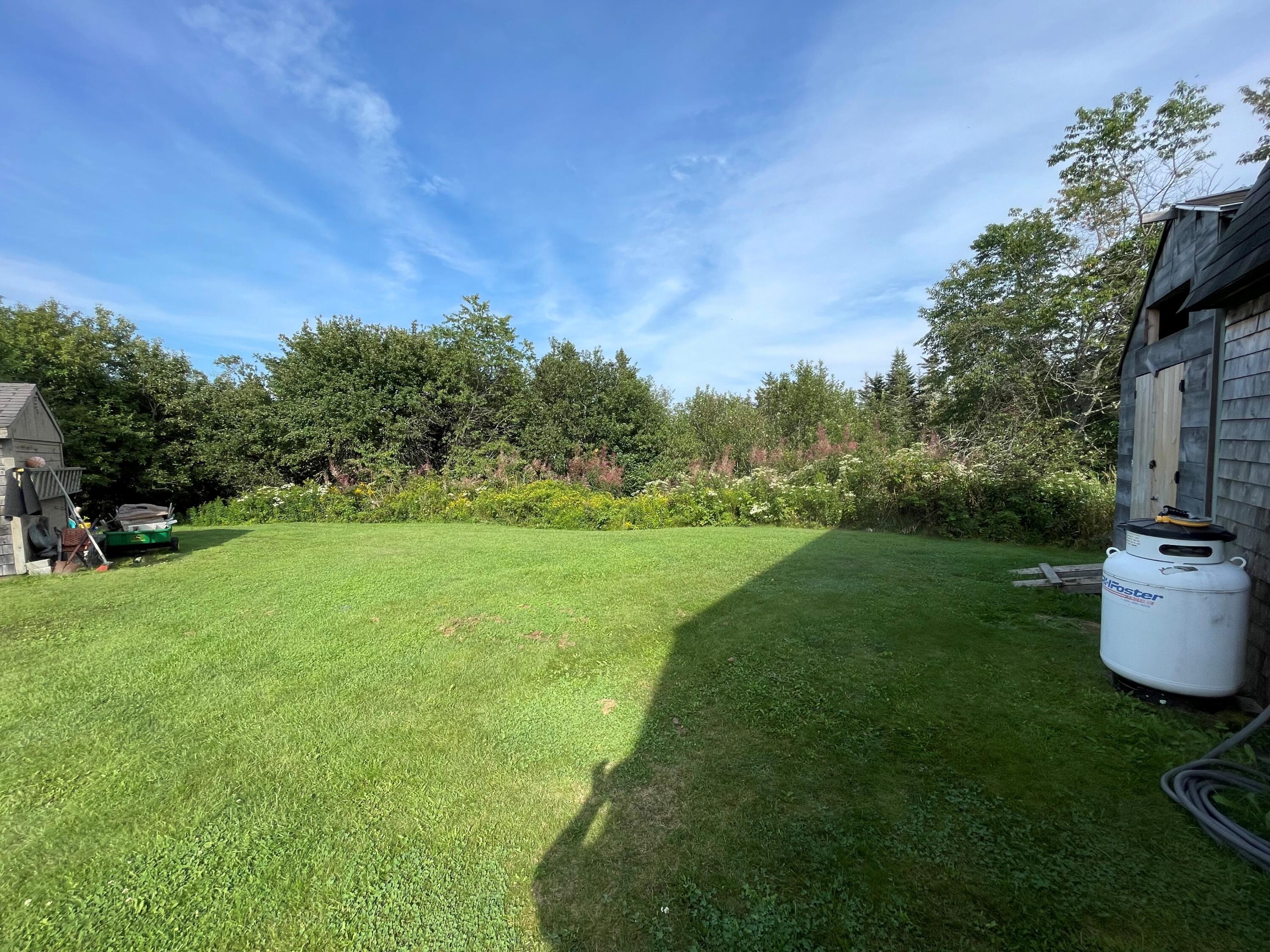1440 Cutler Road Cutler, ME 04626 - Photo 4 of 23 1440 SIDE YARD WITH SHEDS