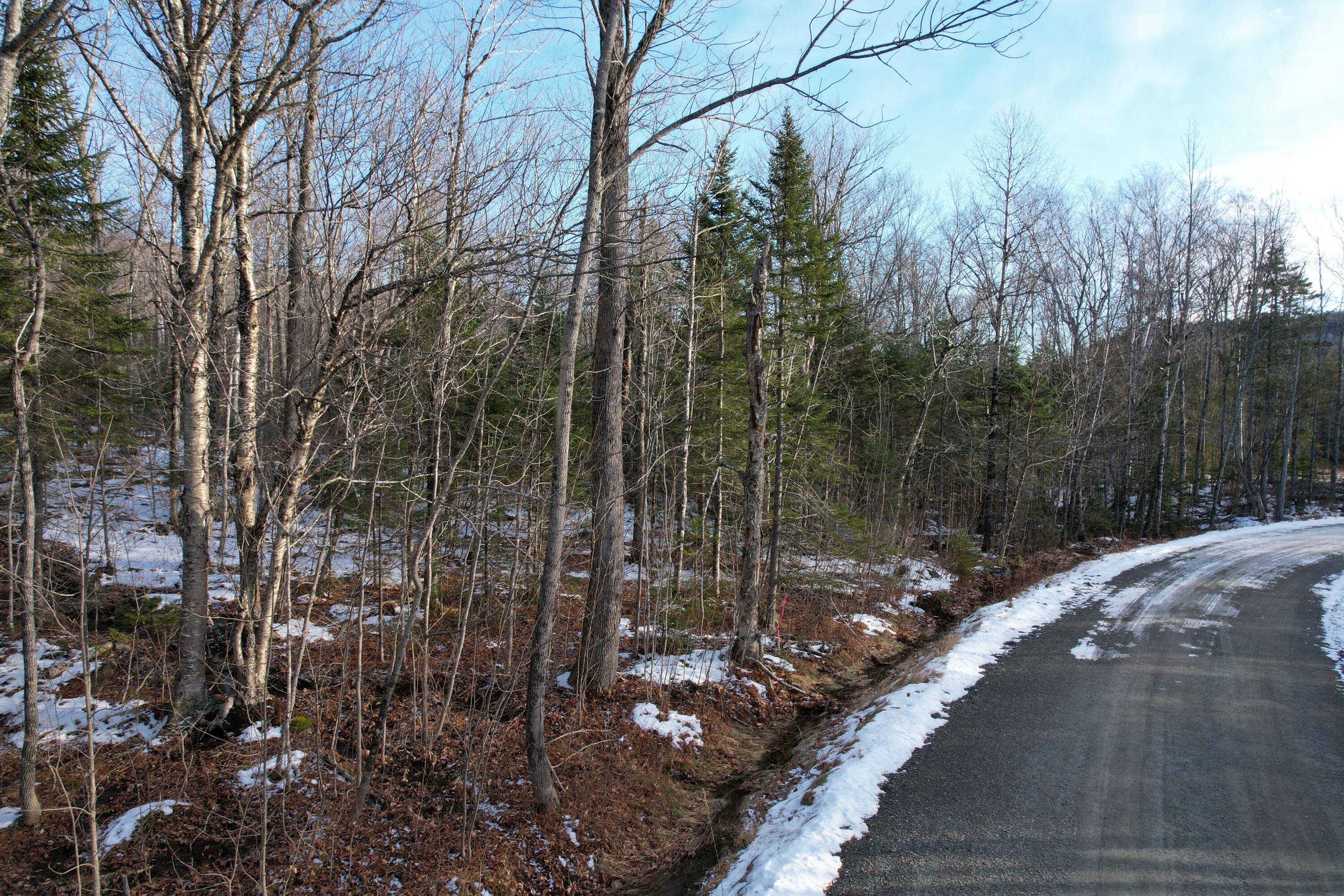 2037 Ridgeview Road Kingfield, ME 04947 - Photo 3 of 21 DJI_0796