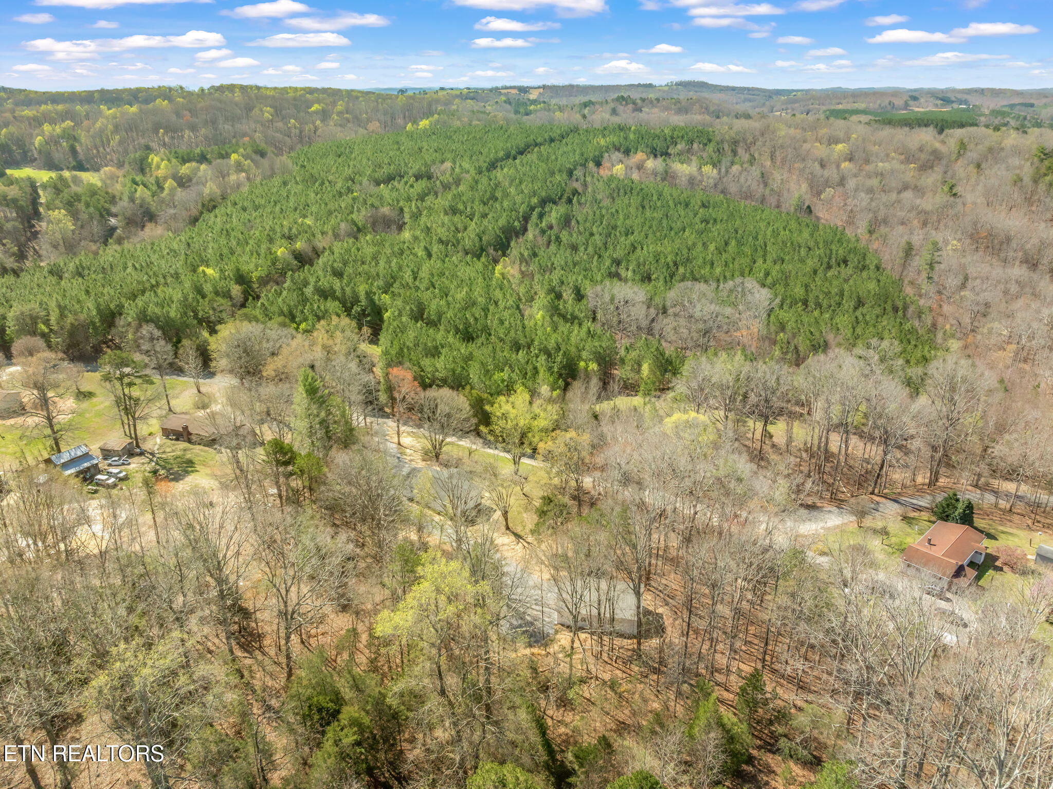 434 Pattie Gap Road Philadelphia, TN 37846 - Photo 50 of 59 51-web-or-mls-420 Pattie Gap Road-51
